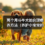两个月斗牛犬的合理喂养方法(养护小宝宝的关键,从饮食开始)(图4) 两个月斗牛犬的合理喂养方法(养护小宝宝的关键,从饮食开始)(图4)