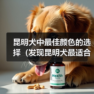 昆明犬中最佳颜色的选择(发现昆明犬最适合的颜色,提供理想的伴侣)(图1) 昆明犬中最佳颜色的选择(发现昆明犬最适合的颜色,提供理想的伴侣)(图1)