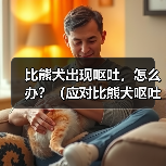 比熊犬出现呕吐，怎么办？（应对比熊犬呕吐的有效措施）（图2）