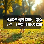 比熊犬出现呕吐，怎么办？（应对比熊犬呕吐的有效措施）（图1）