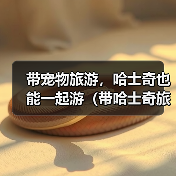 带宠物旅游,哈士奇也能一起游(带哈士奇旅游需要注意的问题)(图3) 带宠物旅游,哈士奇也能一起游(带哈士奇旅游需要注意的问题)(图3)