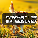 木薯猫砂选哪个?萌尾测评:结团好但粉尘大(图2) 木薯猫砂选哪个?萌尾测评:结团好但粉尘大(图2)