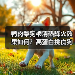 鸭肉梨狗粮清热降火效果如何?高蛋白挑食狗狗必看(图4) 鸭肉梨狗粮清热降火效果如何?高蛋白挑食狗狗必看(图4)