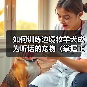 如何训练边境牧羊犬成为听话的宠物(掌握正确的训练技巧,让爱犬成为温顺听话的好伙伴)(图1) 如何训练边境牧羊犬成为听话的宠物(掌握正确的训练技巧,让爱犬成为温顺听话的好伙伴)(图1)