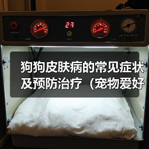狗狗皮肤病的常见症状及预防治疗（宠物爱好者必看！狗狗皮肤病的预防和治疗方法）（图1）