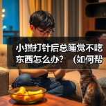 小猫打针后总睡觉不吃东西怎么办？（如何帮助小猫恢复食欲？）（图1）