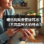 哪些狗狗需要拔耳毛?(不同品种犬的特点与耳毛清理方法)(图2) 哪些狗狗需要拔耳毛?(不同品种犬的特点与耳毛清理方法)(图2)