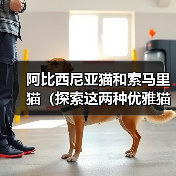 阿比西尼亚猫和索马里猫(探索这两种优雅猫咪的起源与特征,了解它们的相似与差异)(图4) 阿比西尼亚猫和索马里猫(探索这两种优雅猫咪的起源与特征,了解它们的相似与差异)(图4)