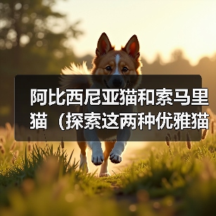 阿比西尼亚猫和索马里猫(探索这两种优雅猫咪的起源与特征,了解它们的相似与差异)(图3) 阿比西尼亚猫和索马里猫(探索这两种优雅猫咪的起源与特征,了解它们的相似与差异)(图3)