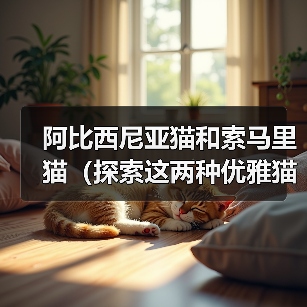 阿比西尼亚猫和索马里猫(探索这两种优雅猫咪的起源与特征,了解它们的相似与差异)(图2) 阿比西尼亚猫和索马里猫(探索这两种优雅猫咪的起源与特征,了解它们的相似与差异)(图2)