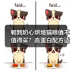 鹌鹑奶心烘焙猫粮值不值得买?高蛋白配方适口性测评(图2) 鹌鹑奶心烘焙猫粮值不值得买?高蛋白配方适口性测评(图2)