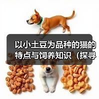 以小土豆为品种的猫的特点与饲养知识(探寻以小土豆为品种的猫的独特之处与饲养技巧)(图4) 以小土豆为品种的猫的特点与饲养知识(探寻以小土豆为品种的猫的独特之处与饲养技巧)(图4)