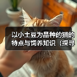 以小土豆为品种的猫的特点与饲养知识(探寻以小土豆为品种的猫的独特之处与饲养技巧)(图2) 以小土豆为品种的猫的特点与饲养知识(探寻以小土豆为品种的猫的独特之处与饲养技巧)(图2)