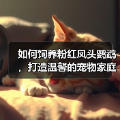 如何饲养粉红凤头鹦鹉,打造温馨的宠物家庭(从购买到喂养,全面解析饲养技巧)(图3) 如何饲养粉红凤头鹦鹉,打造温馨的宠物家庭(从购买到喂养,全面解析饲养技巧)(图3)