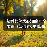 初养比熊犬必知的15个要点(如何养护刚出生的比熊犬,让它成为你的最佳伴侣?)(图2) 初养比熊犬必知的15个要点(如何养护刚出生的比熊犬,让它成为你的最佳伴侣?)(图2)