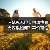 汪梵思无谷犬粮清热降火效果如何?平价高性价比测评(图3) 汪梵思无谷犬粮清热降火效果如何?平价高性价比测评(图3)