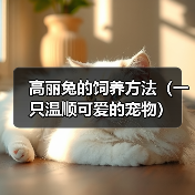 高丽兔的饲养方法(一只温顺可爱的宠物)(图1) 高丽兔的饲养方法(一只温顺可爱的宠物)(图1)