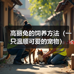 高丽兔的饲养方法(一只温顺可爱的宠物)(图2) 高丽兔的饲养方法(一只温顺可爱的宠物)(图2)