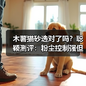 木薯猫砂选对了吗？聪颖测评：粉尘控制强但除臭需搭配（图4）