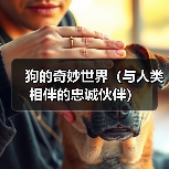 狗的奇妙世界（与人类相伴的忠诚伙伴）（图4）