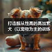 打造服从性高的高加索犬(以宠物为主的训练要点和技巧)(图1) 打造服从性高的高加索犬(以宠物为主的训练要点和技巧)(图1)