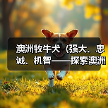 澳洲牧牛犬（强大、忠诚、机智——探索澳洲牧牛犬的护卫才能）（图2）