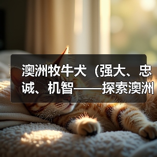澳洲牧牛犬（强大、忠诚、机智——探索澳洲牧牛犬的护卫才能）（图3）