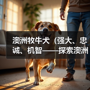澳洲牧牛犬（强大、忠诚、机智——探索澳洲牧牛犬的护卫才能）（图1）