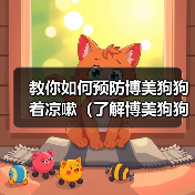 教你如何预防博美狗狗着凉嗽(了解博美狗狗的身体特征与日常护理)(图4) 教你如何预防博美狗狗着凉嗽(了解博美狗狗的身体特征与日常护理)(图4)
