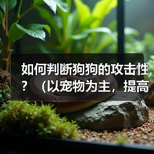 如何判断狗狗的攻击性?(以宠物为主,提高主人的安全意识)(图1) 如何判断狗狗的攻击性?(以宠物为主,提高主人的安全意识)(图1)