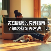 黄翅鹦鹉的饲养指南(了解这些饲养方法,让你的黄翅鹦鹉健康快乐)(图1) 黄翅鹦鹉的饲养指南(了解这些饲养方法,让你的黄翅鹦鹉健康快乐)(图1)