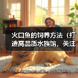 火口鱼的饲养方法(打造高品质水族馆,关注饲养技巧)(图2) 火口鱼的饲养方法(打造高品质水族馆,关注饲养技巧)(图2)