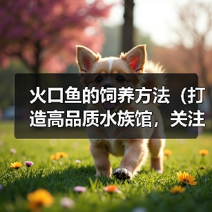 火口鱼的饲养方法(打造高品质水族馆,关注饲养技巧)(图1) 火口鱼的饲养方法(打造高品质水族馆,关注饲养技巧)(图1)