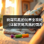 斑尾凤凰的饲养全攻略（详解斑尾凤凰的饲养技巧和注意事项）（图1）