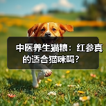 中医养生猫粮:红参真的适合猫咪吗?(图4) 中医养生猫粮:红参真的适合猫咪吗?(图4)