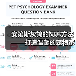 安第斯灰鸫的饲养方法——打造温馨的宠物家园（从生活习性到饲养技巧，全方位解析安第斯灰鸫的养殖要点）（图1）
