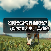 如何合理饲养褐拟雀？（以宠物为主，营造舒适生活环境，享受亲密互动）（图4）