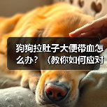 狗狗拉肚子大便带血怎么办?(教你如何应对犬只消化系统问题)(图1) 狗狗拉肚子大便带血怎么办?(教你如何应对犬只消化系统问题)(图1)