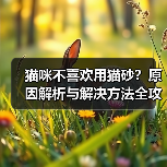 猫咪不喜欢用猫砂?原因解析与解决方法全攻略(图3) 猫咪不喜欢用猫砂?原因解析与解决方法全攻略(图3)