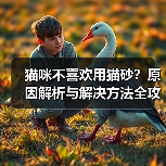 猫咪不喜欢用猫砂?原因解析与解决方法全攻略(图4) 猫咪不喜欢用猫砂?原因解析与解决方法全攻略(图4)
