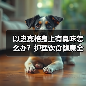 以史宾格身上有臭味怎么办?护理饮食健康全解析(图3) 以史宾格身上有臭味怎么办?护理饮食健康全解析(图3)
