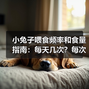小兔子喂食频率和食量指南：每天几次？每次多少？（图2）