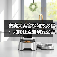 贵宾犬美容保姆级教程：如何让爱宠焕发公主魅力（图1）