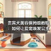 贵宾犬美容保姆级教程：如何让爱宠焕发公主魅力（图3）