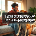 阿拉斯加犬挑食怎么解决?训练不挑食健康饮食全攻略(图1) 阿拉斯加犬挑食怎么解决?训练不挑食健康饮食全攻略(图1)