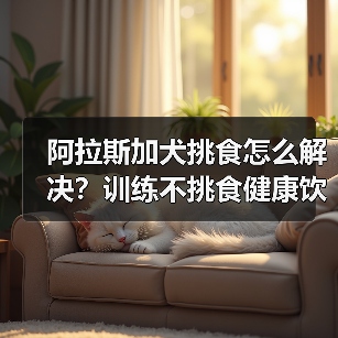 阿拉斯加犬挑食怎么解决?训练不挑食健康饮食全攻略(图4) 阿拉斯加犬挑食怎么解决?训练不挑食健康饮食全攻略(图4)