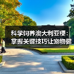 科学饲养澳大利亚梗:掌握关键技巧让宠物健康成长(图1) 科学饲养澳大利亚梗:掌握关键技巧让宠物健康成长(图1)