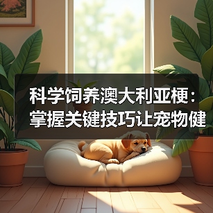 科学饲养澳大利亚梗:掌握关键技巧让宠物健康成长(图2) 科学饲养澳大利亚梗:掌握关键技巧让宠物健康成长(图2)