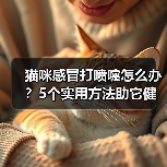 猫咪感冒打喷嚏怎么办?5个实用方法助它健康恢复(图3) 猫咪感冒打喷嚏怎么办?5个实用方法助它健康恢复(图3)