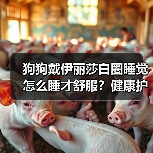 狗狗戴伊丽莎白圈睡觉怎么睡才舒服?健康护理全指南(图1) 狗狗戴伊丽莎白圈睡觉怎么睡才舒服?健康护理全指南(图1)